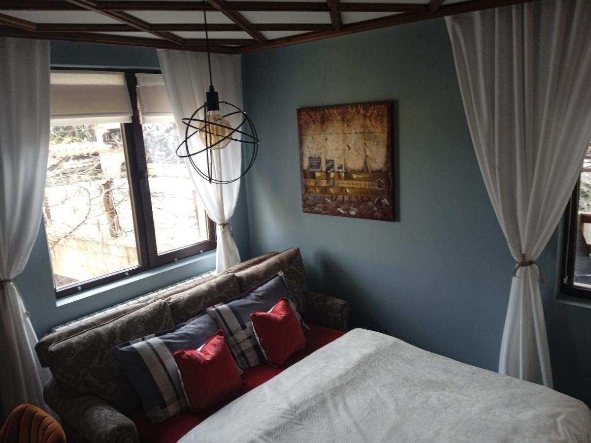 Mila Vip Apartment バンスコ エクステリア 写真